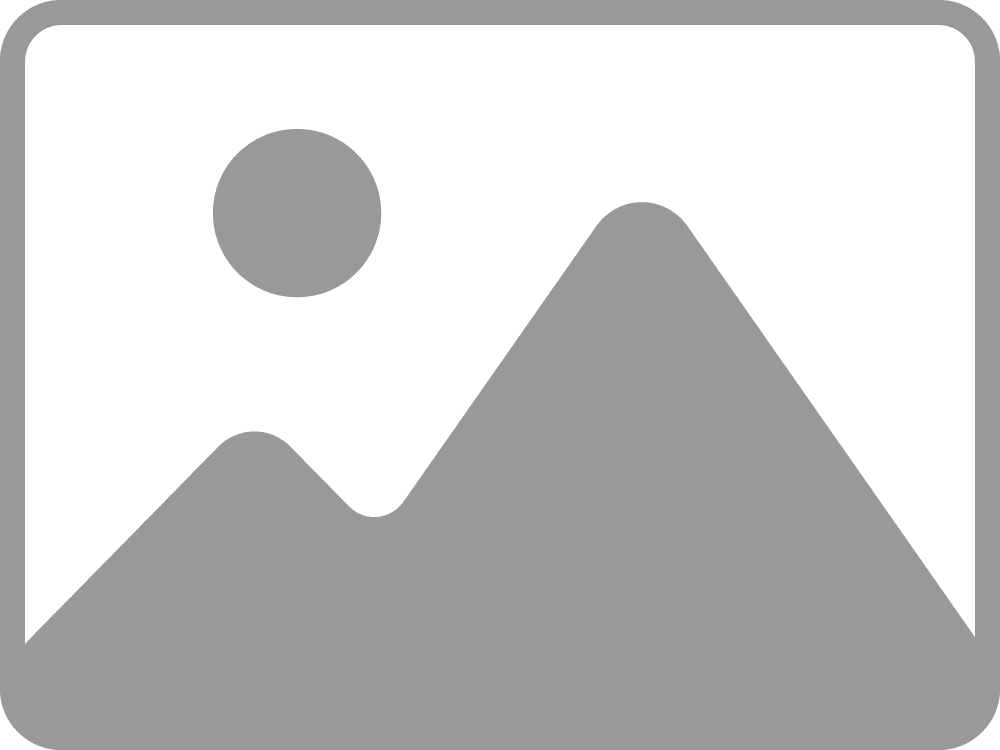 Placeholder 1